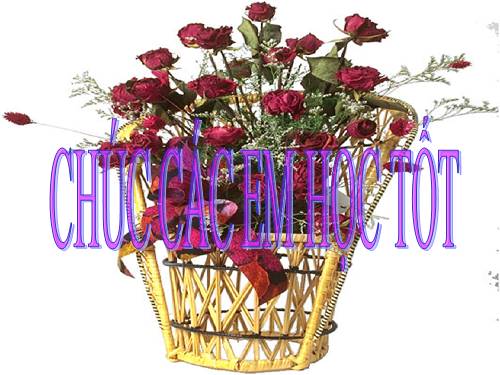 Bài 6. Từ Hán Việt (tiếp theo)