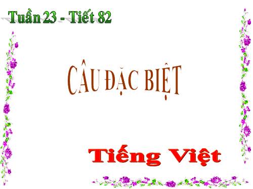 Bài 20. Câu đặc biệt