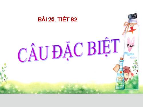 Bài 20. Câu đặc biệt