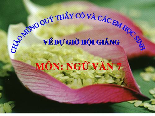 Bài 14. Một thứ quà của lúa non: Cốm