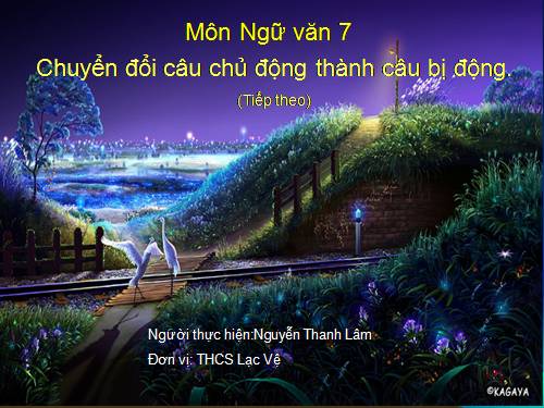 Bài 24. Chuyển đổi câu chủ động thành câu bị động (tiếp theo)