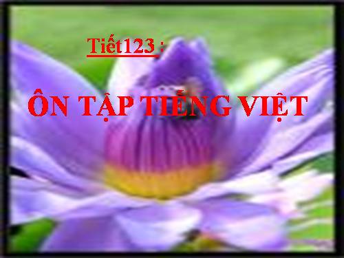 Bài 16. Ôn tập phần Tiếng Việt