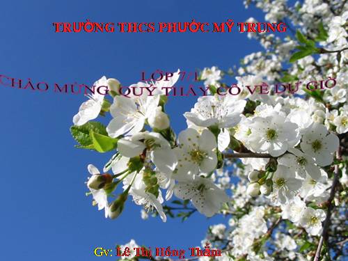 Bài 9. Từ đồng nghĩa