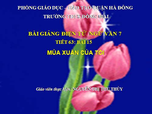 Bài 15. Mùa xuân của tôi