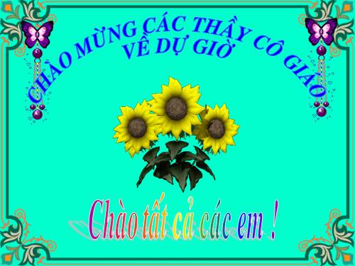 Bài 13. Điệp ngữ