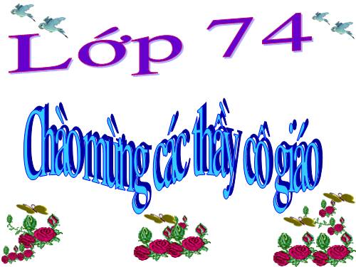 Bài 24. Chuyển đổi câu chủ động thành câu bị động (tiếp theo)