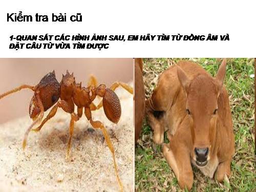 Bài 12. Thành ngữ