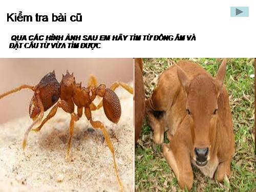 Bài 12. Thành ngữ