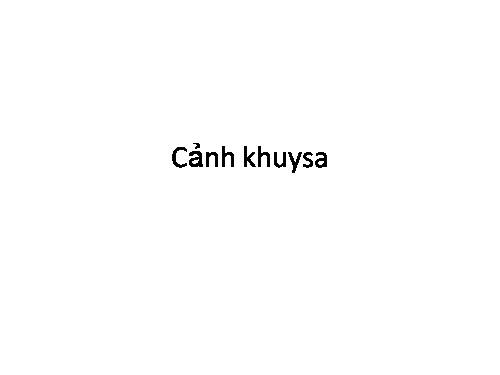cảnh khuya