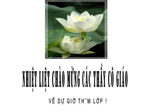 Bài 12. Cảnh khuya