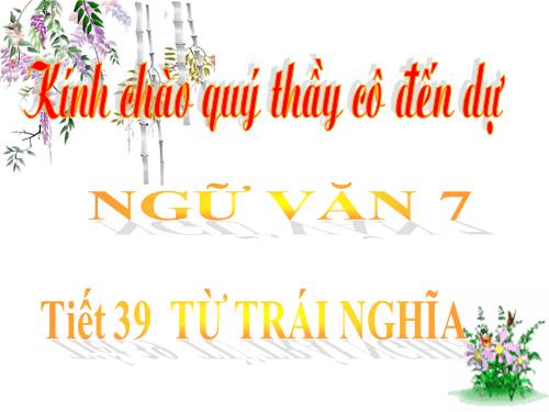 Bài 10. Từ trái nghĩa