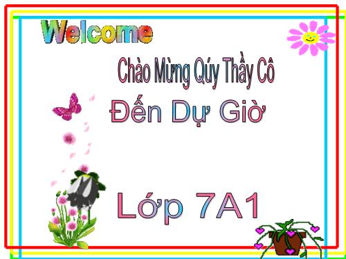 Bài 14. Chơi chữ