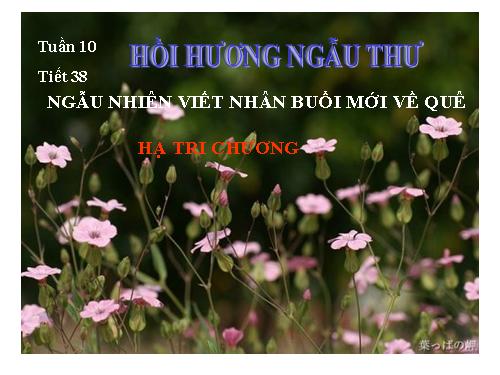 Bài 10. Ngẫu nhiên viết nhân buổi mới về quê (Hồi hương ngẫu thư)