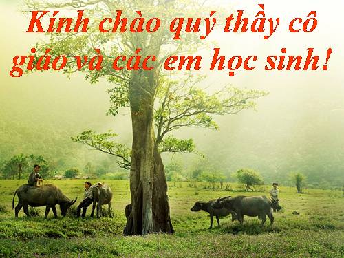 Bài 4. Những câu hát than thân