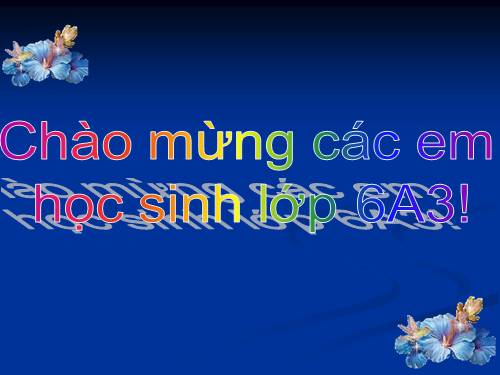 Bài 1. Từ ghép