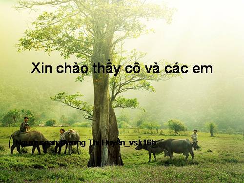 Bài 6. Bài ca Côn Sơn