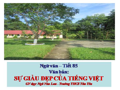 Bài 21. Sự giàu đẹp của Tiếng Việt