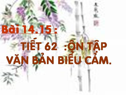 Bài 14. Ôn tập văn bản biểu cảm