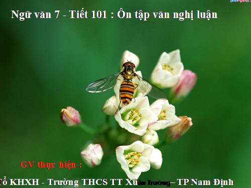 Bài 25. Ôn tập văn nghị luận