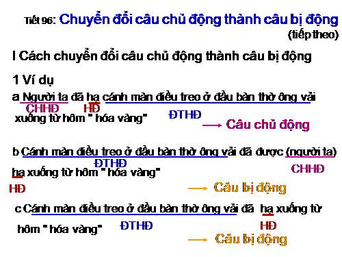 Bài 24. Chuyển đổi câu chủ động thành câu bị động (tiếp theo)