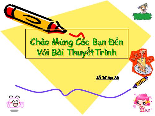 Bài 15. Sài Gòn tôi yêu