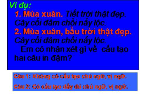 Bài 20. Câu đặc biệt