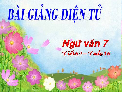 Bài 15. Mùa xuân của tôi