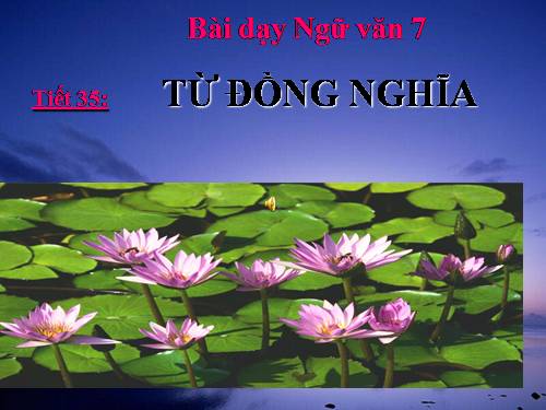 Bài 9. Từ đồng nghĩa