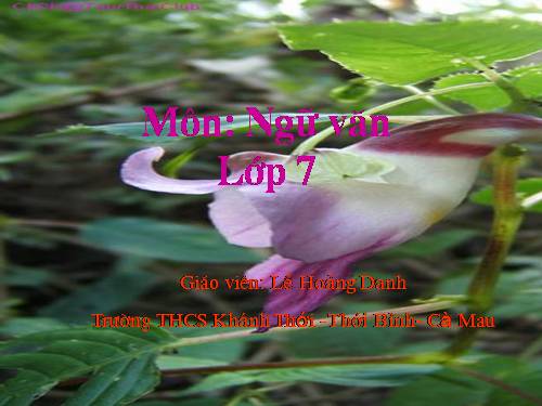 Bài 19. Rút gọn câu