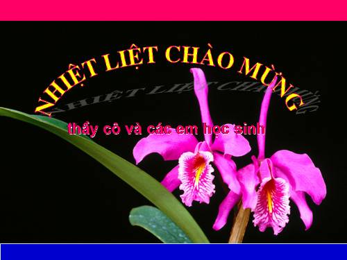 Bài 14. Chơi chữ