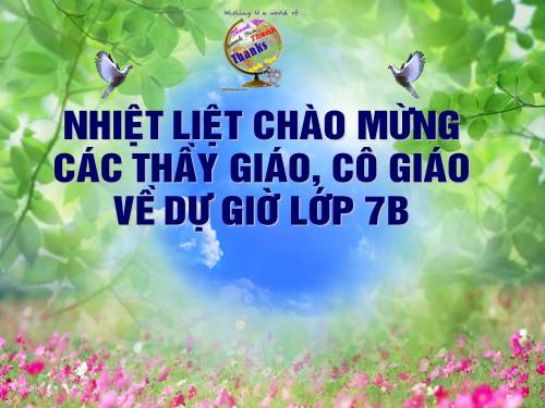 Bài 19. Tục ngữ về con người và xã hội