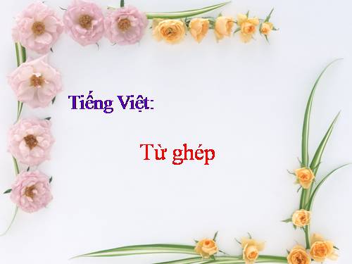 Bài 1. Từ ghép