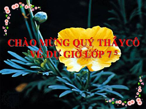 Bài 13. Điệp ngữ