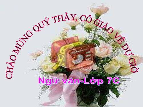 Bài 15. Luyện tập sử dụng từ