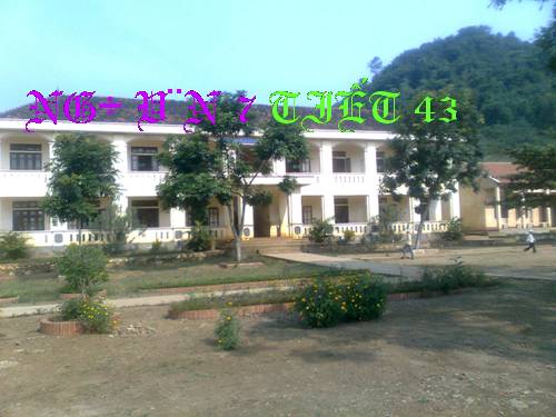 Bài 11. Từ đồng âm