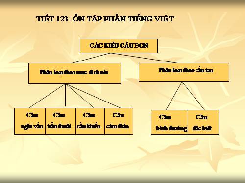 Bài 30. Ôn tập phần Tiếng Việt