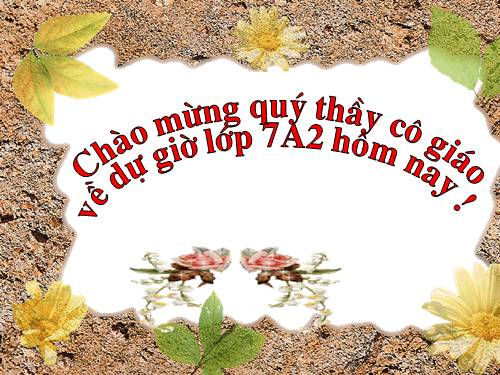 Bài 24. Chuyển đổi câu chủ động thành câu bị động (tiếp theo)