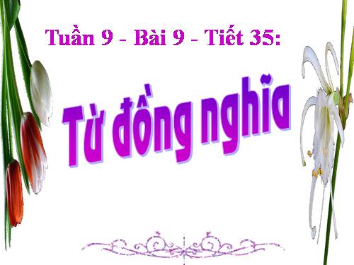 Bài 9. Từ đồng nghĩa