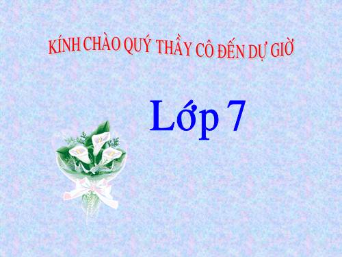 Bài 14. Chơi chữ