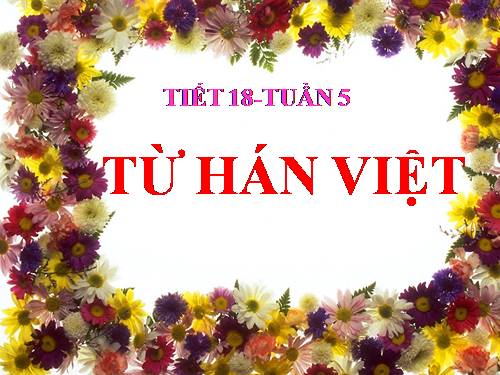 Bài 5. Từ Hán Việt