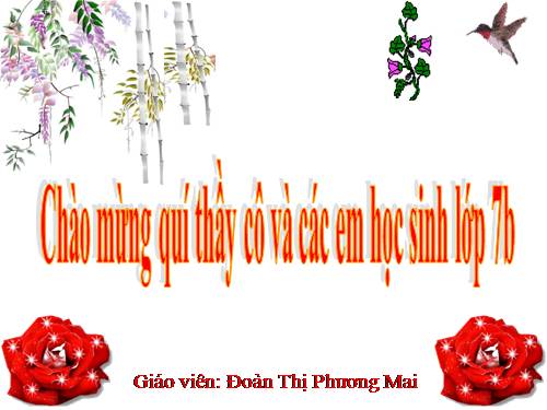 Bài 10. Từ trái nghĩa