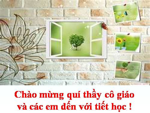 Tiết 45:Anh trăng - Rằm tháng giêng