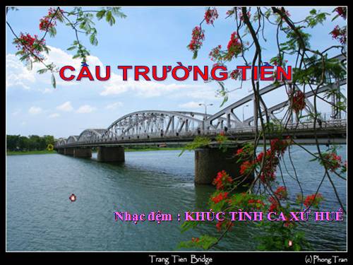 Cau Truong Tien