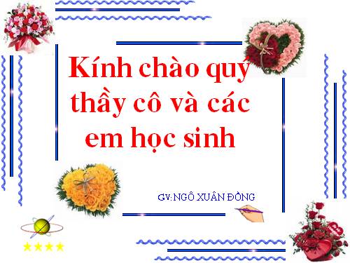 Bài 11. Từ đồng âm