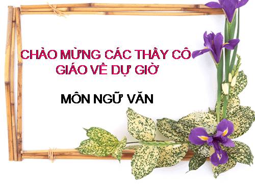 Bài 7. Quan hệ từ