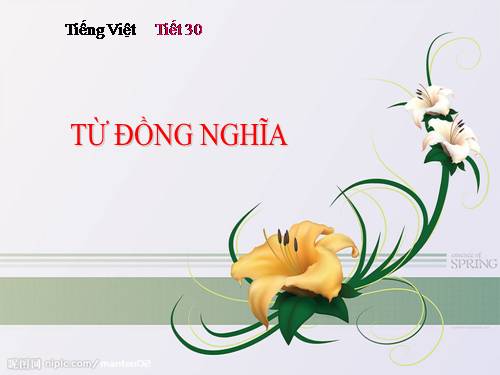 Bài 9. Từ đồng nghĩa