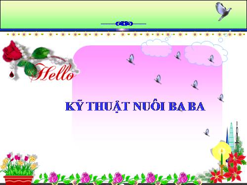 Ky thuat nuoi baba