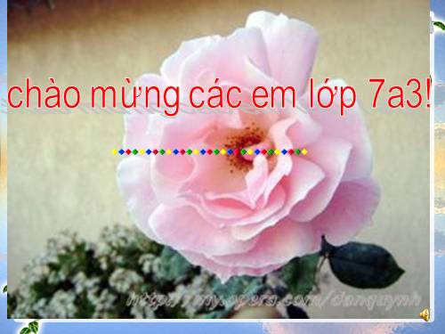 Bài 12. Thành ngữ
