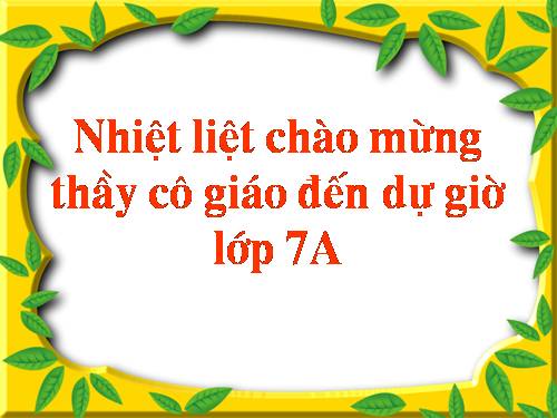 Bài 11. Từ đồng âm