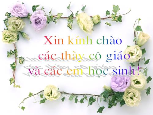 Bài 19. Tục ngữ về con người và xã hội